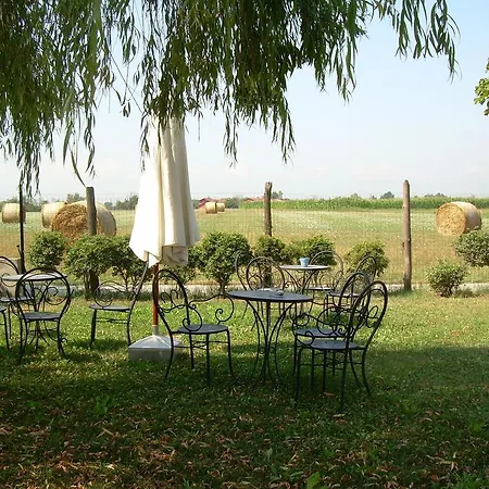 La Vigna Del Maestro Farm stay *