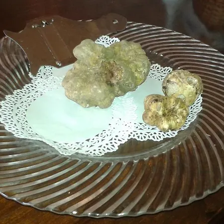 La Vigna Del Maestro 베네바기엔나