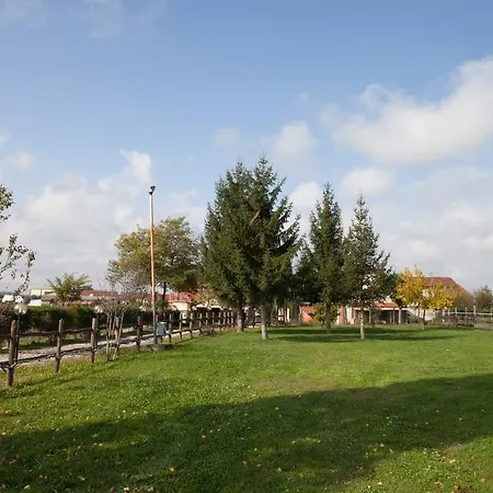 La Vigna Del Maestro *