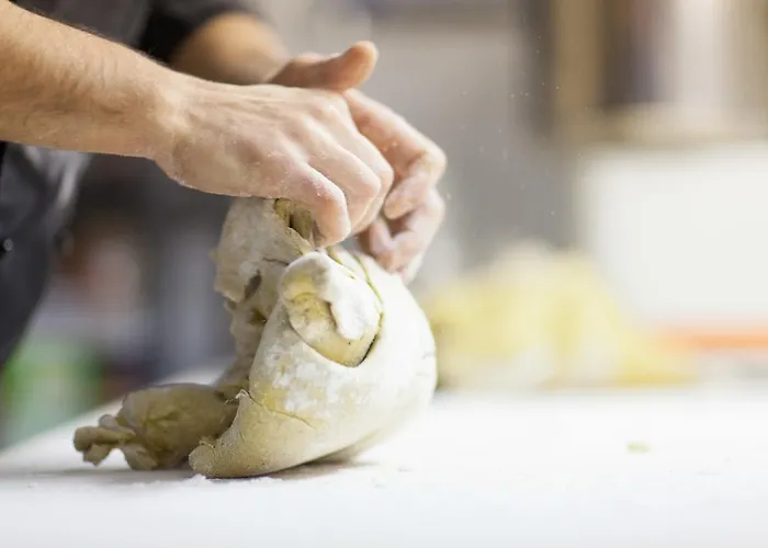 La Vigna Del Maestro Alojamento de Turismo Rural Bene Vagienna