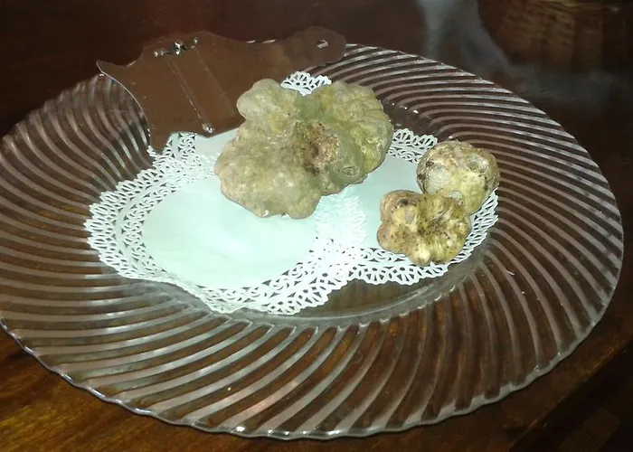 La Vigna Del Maestro Bene Vagienna